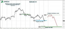 NZDUSD 21.01.2022.jpg