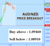 AUDNZD.png