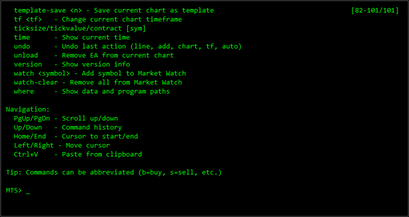 MT5 Console Prompt Screenshot